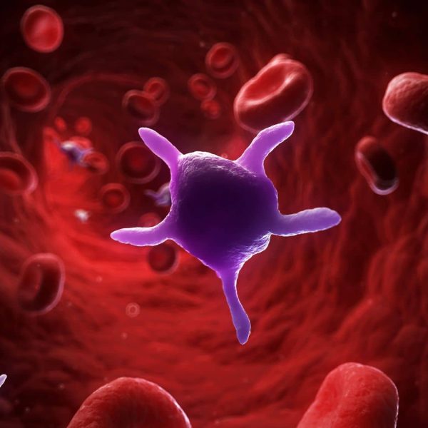 itp-images (2)
